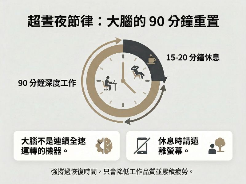 90 分鐘深度工作與 15 到 20 分鐘休息的超晝夜節律時間管理法，說明大腦專注力呈現週期波動並需適當恢復，避免長時間連續工作降低效率